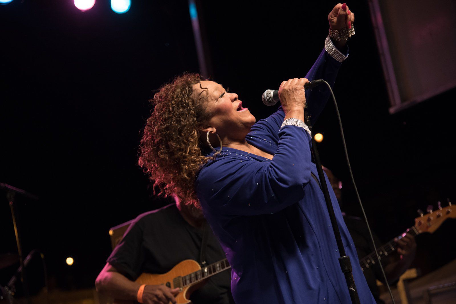 Big Muddy Blues Festival at Laclede's Landing
